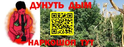 ПСИЛОЦИБИНОВЫЕ ГРИБЫ Отрадное