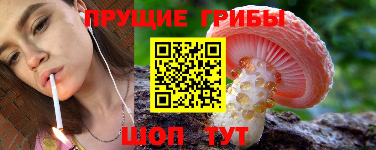 Галлюциногенные грибы мицелий  Вход с VPN  Владикавказ  Галлюциногенные грибы GOLDEN TEACHER 